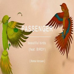 Passenger - Beautiful Birds Feat. BIRDY (Remix Version)