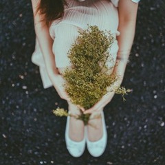 Có Thể Hay Không - Quý Ngạn Lâm - 季彥霖 - 可不可以