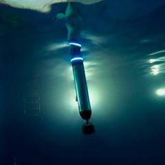 Deep Sea Drones