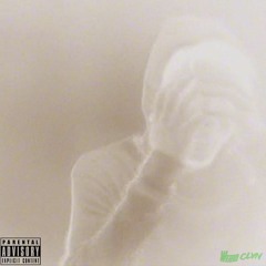 Sybyr -  These Colors Of Fuckery (Slowed)