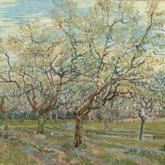 Van Gogh Museum Spring