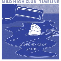 Mild High Club - Note To Self (SLOW)