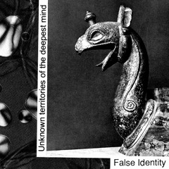 FALSE IDENTITY // Unknown territories of the deepest mind