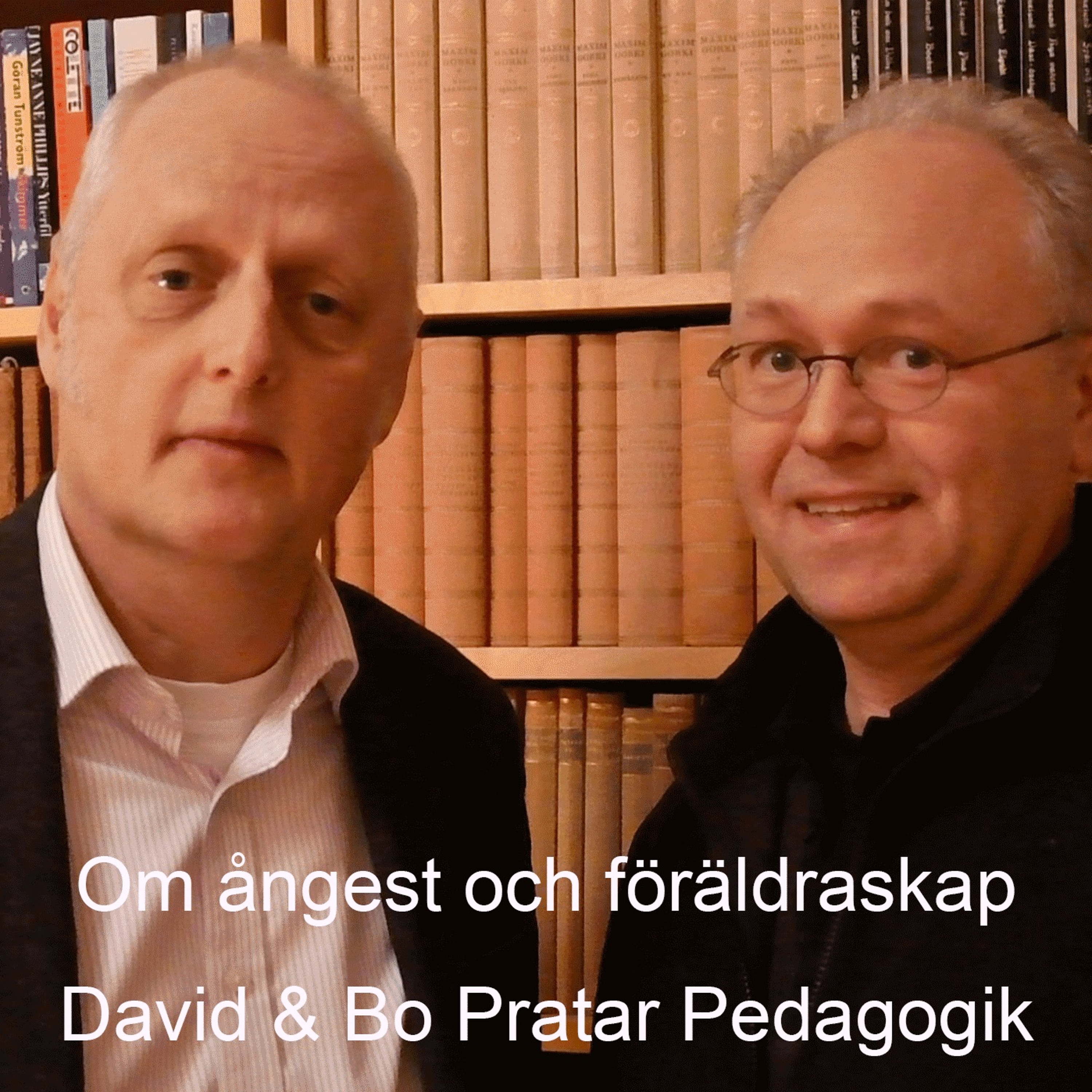 David & Bo Pratar Pedagogik