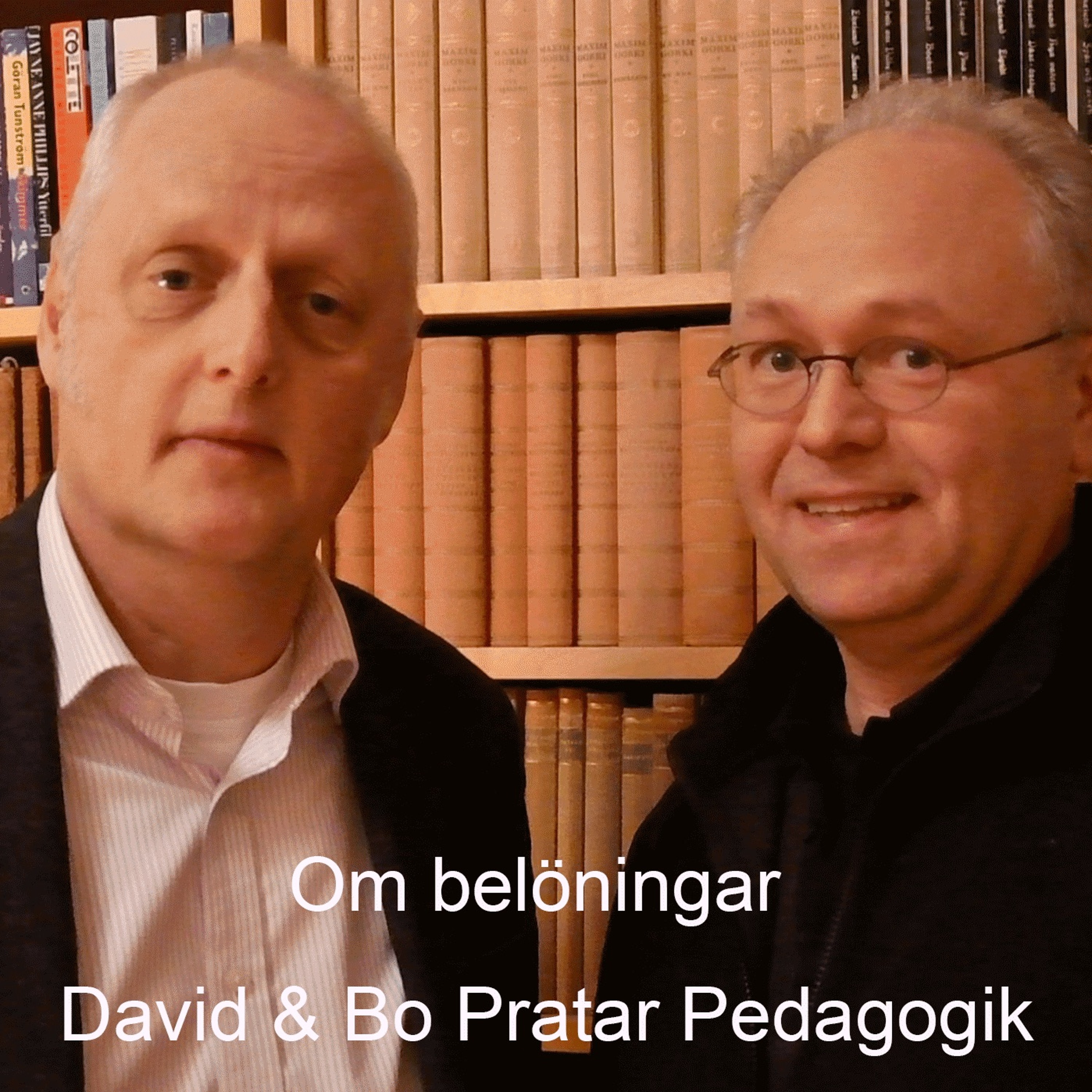 David & Bo Pratar Pedagogik