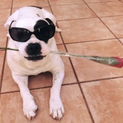 Lovebirds@ Meleguino Always dj set