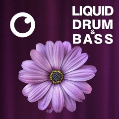 Liquid Drum & Bass Mix 2019 #05 - Dreazz [June 2019]