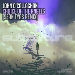 John O'Callaghan - Choice Of The Angels (Sean Tyas Remix)