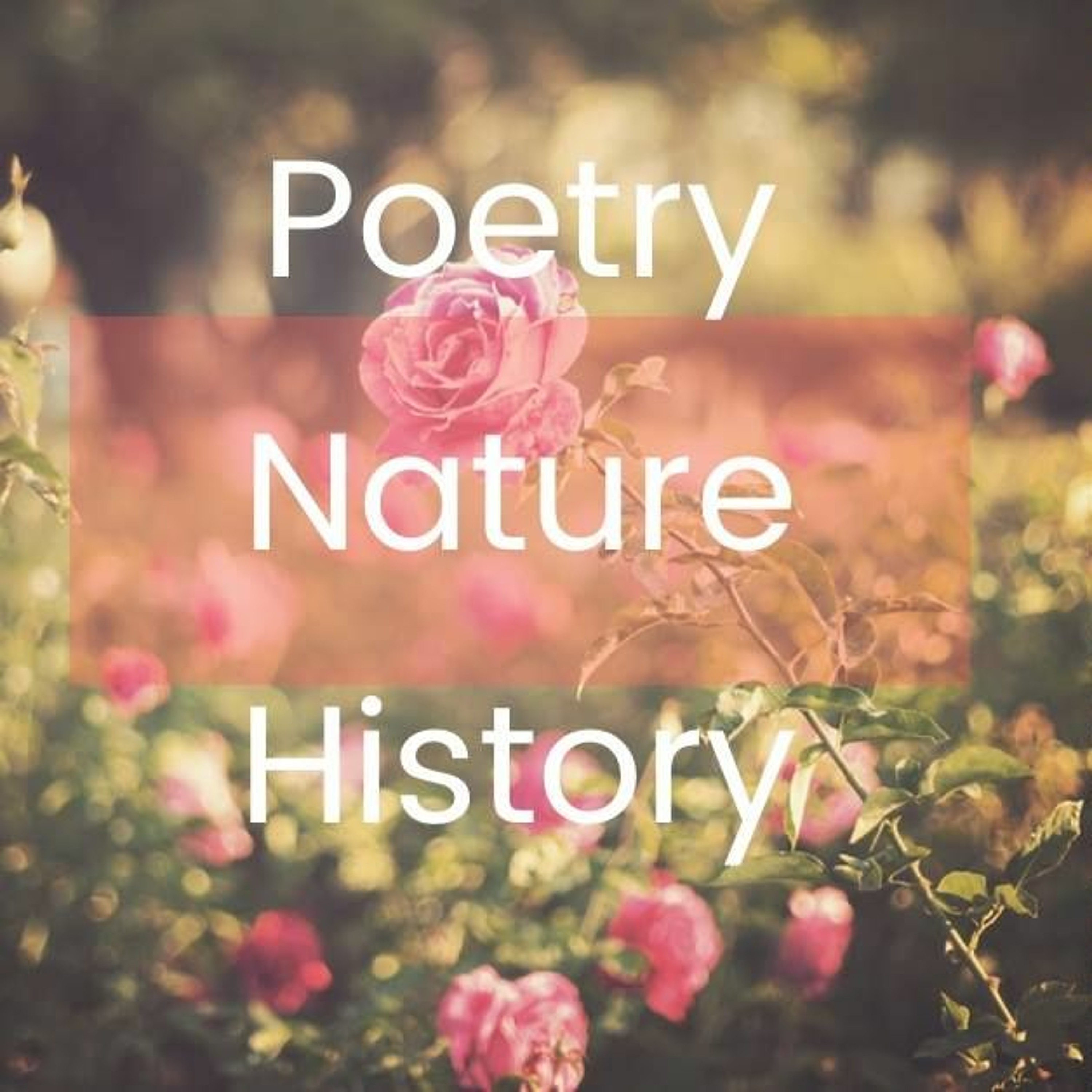 Arts on Fire - Paul Leone Discusses Ode on a Grecian Urn: The English Romantics