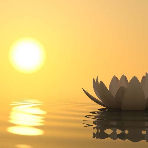 Summa Dub (Free Download )