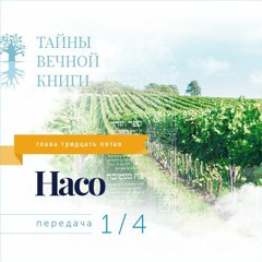Недельная глава Торы Насо. Передача 1