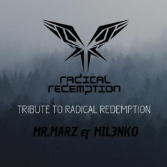 Tribute To Radical - (Mr.Marz & Mil3nkO)