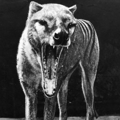 THYLACINE