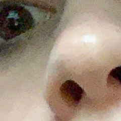 Sophias Birthday Is Today