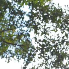 Ghost Poetry (Prod. JT Park)