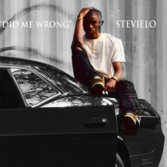 Stevielo - Did Me Wrong