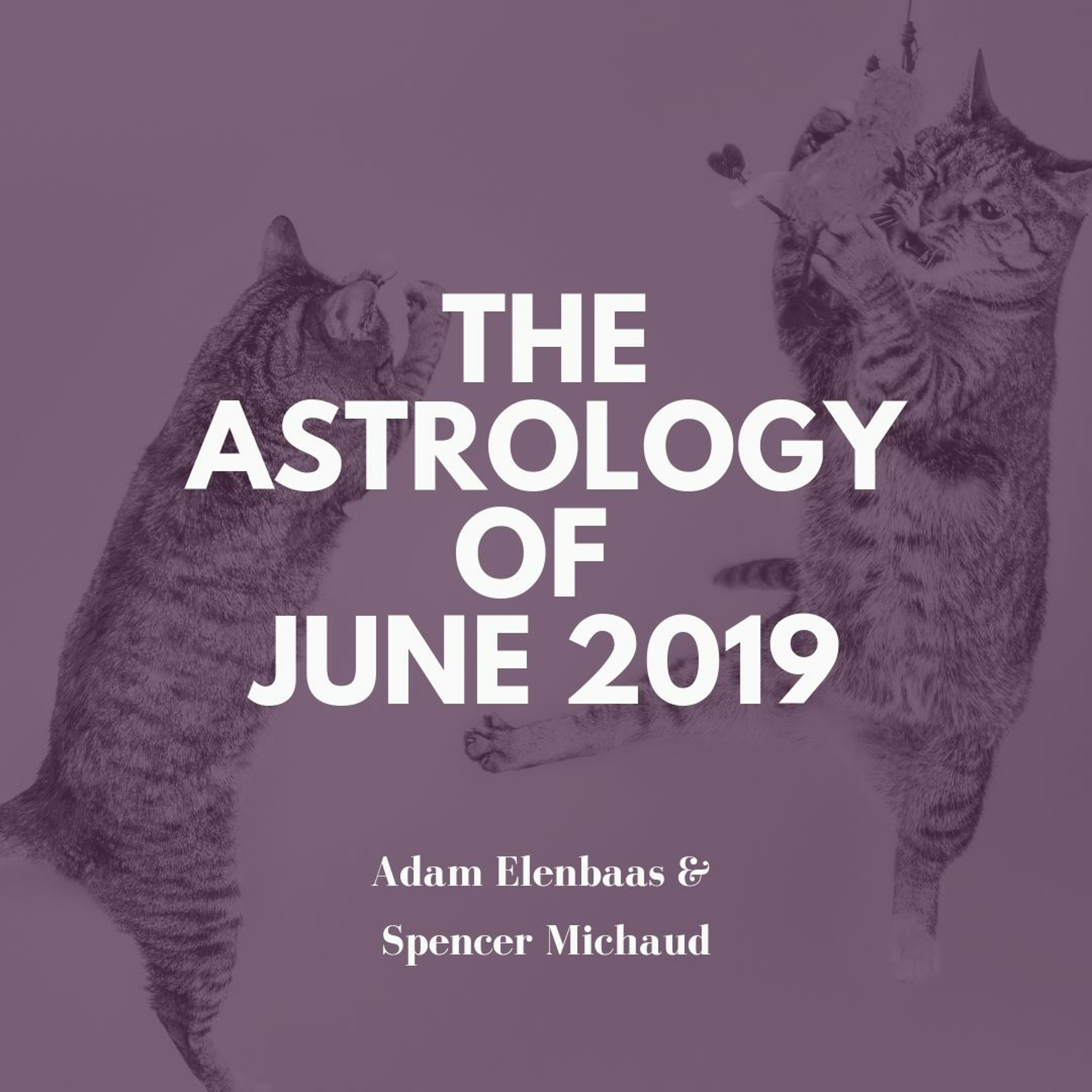 Spencer Michaud Astrology