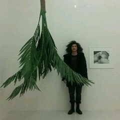 To fall by Michael Donjuan***