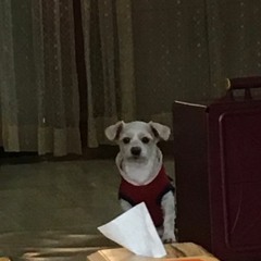 다