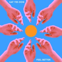 Say Yes Dog - Feel Better