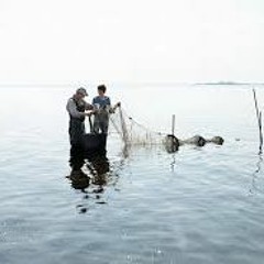 Den Rå Podcast episode 2