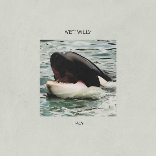 Wet Willy (Prod. HAZY)