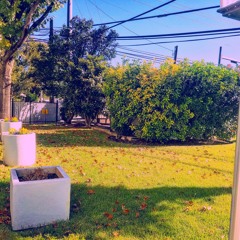 Been Gone {Prod. mixed matches}