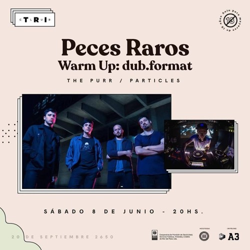 Peces Raros - No van a parar ( dub.format Remix ) FREE DOWNLOAD