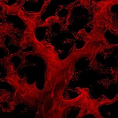 WordsKillPousy Prod.Sully&Eggy