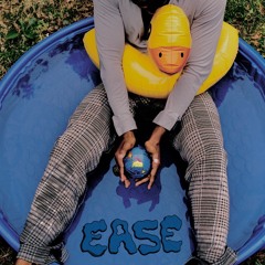 Sunflowers In December