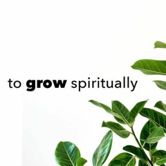 To Grow Spiritually - HH Giriraj Swami