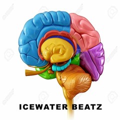 Don't Mess With My Mind