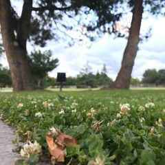 Its Raining Outside Pt1