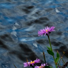 a song about falling