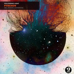 Following Light - Pynchon (Original Mix)