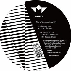 Rise Of The Machines EP