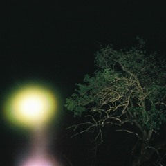 Altered States