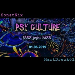 SonstNix @ PSYCULTURE #10