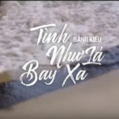 Tình như lá bay xa Acoustic Version Bang Kieu Ft Ian Mckamey
