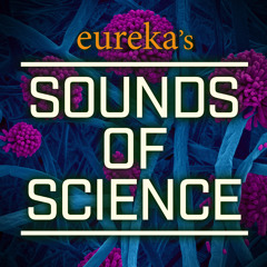 Ep. 13: Biological Bandages for Animals (Eureka's Sounds of Science)