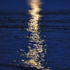 Metaller (Wasserland Projekt)