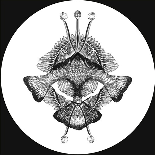 James Bong - Hose [MT22]