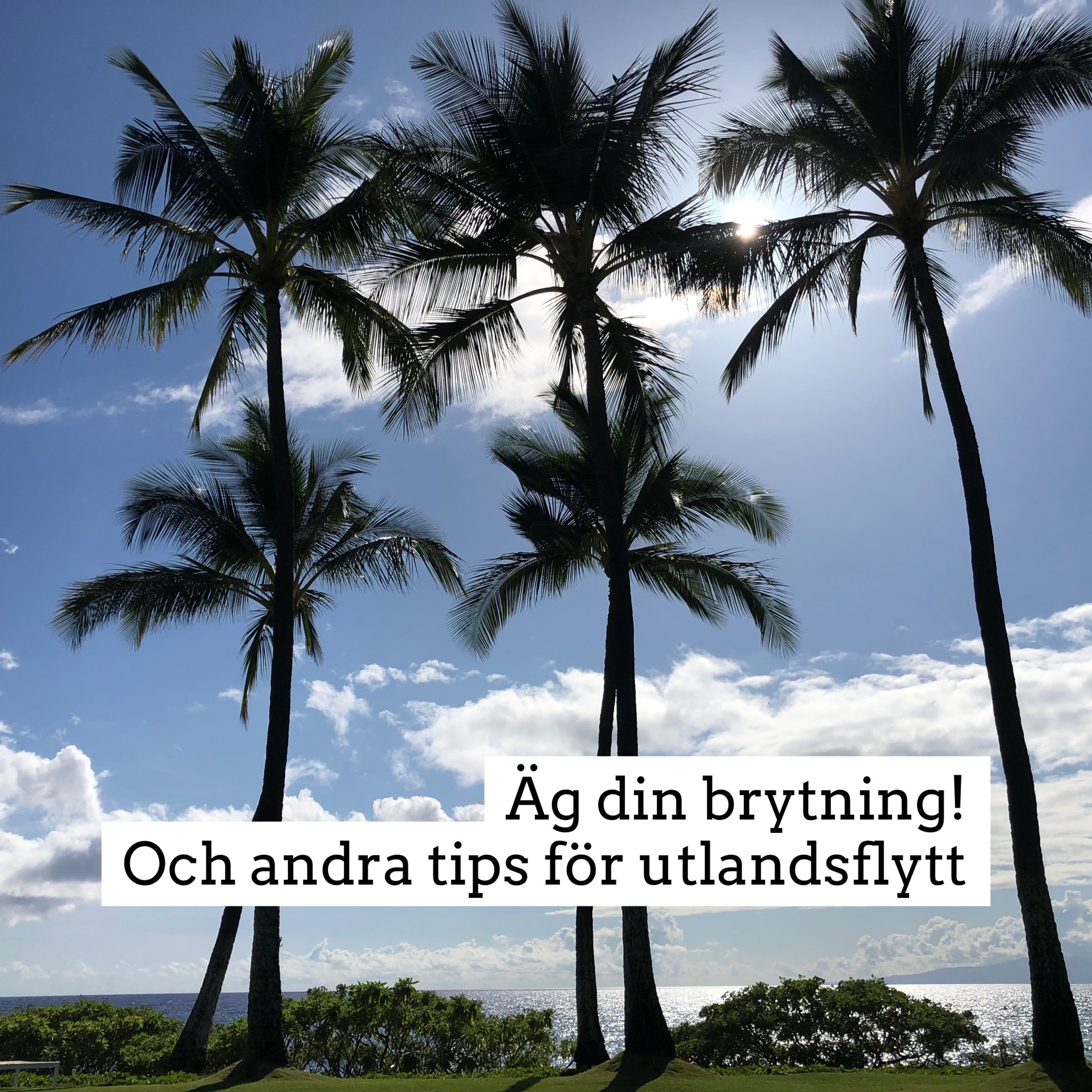 Det kommer att bli bra