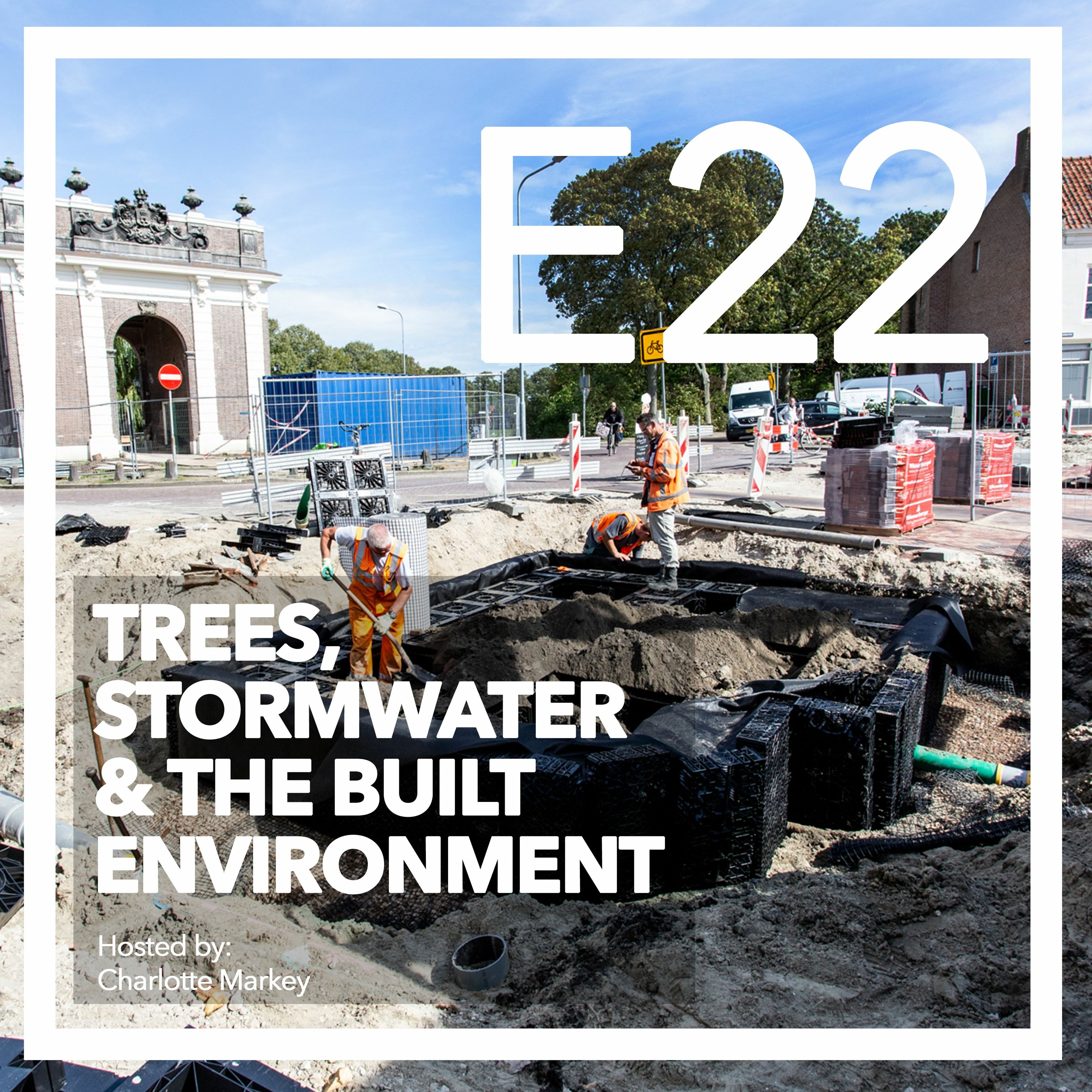 Trees-Stormwater