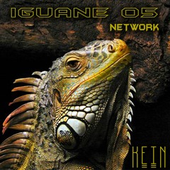 Kein - Pillow Business (Original mix)Iguane 05