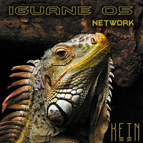 Kein - No System (Original mix)Iguane 05