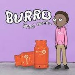 Valdir - Burro