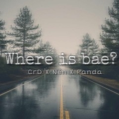 Where is bae ? - Charles ft #nen- Panda