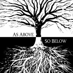 B O Ḵ Ë - Fungal Network