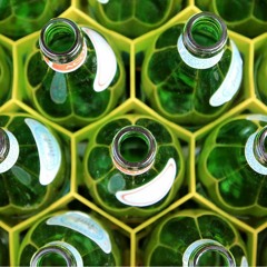 34 - Greenwashing with Ryan Adanalian